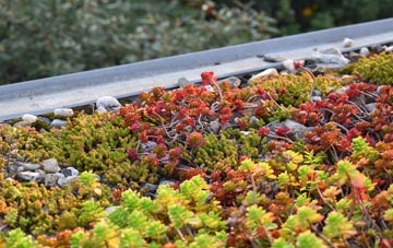 the cost of Noonvares green roof installation