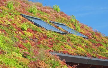 Noonvares living roof systems